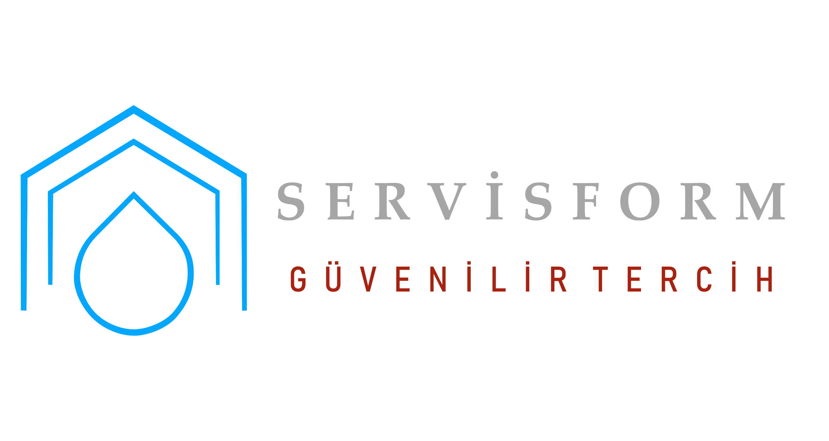 ServisForm Logo